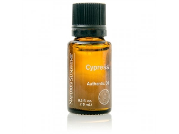 Cypress Authentic Essential Oil (15 ml)